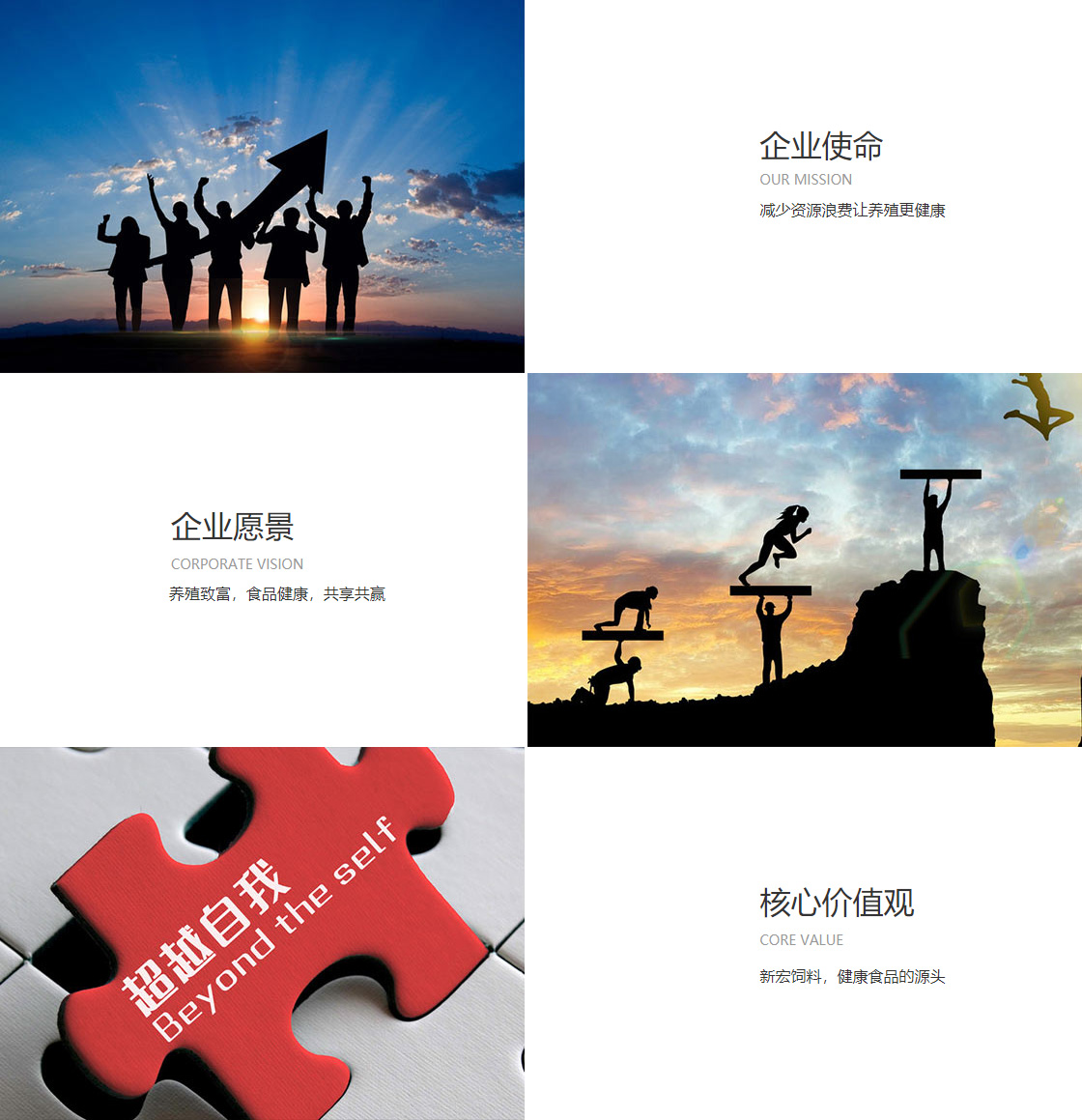 2023澳门原料网站